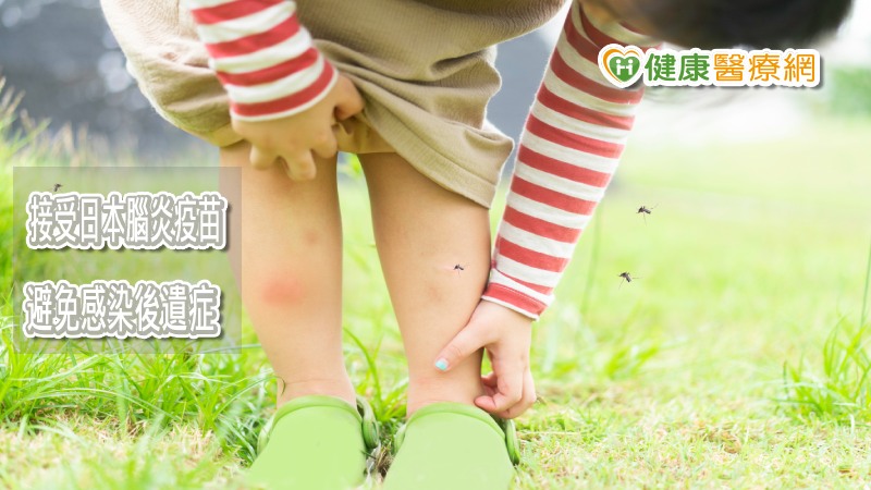 日本腦炎流行季　醫籲：加強防蚊、攜帶幼兒接種疫苗